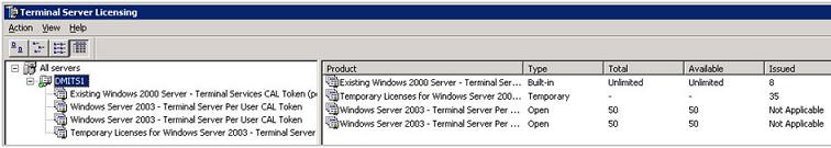 Terminal Server Temorary Licensing